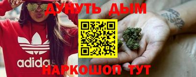 ПСИЛОЦИБИНОВЫЕ ГРИБЫ Кинель