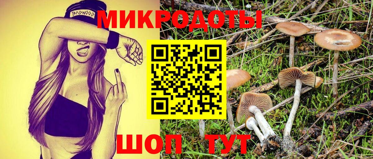 Псилоцибиновые грибы Psilocybe Кыштым