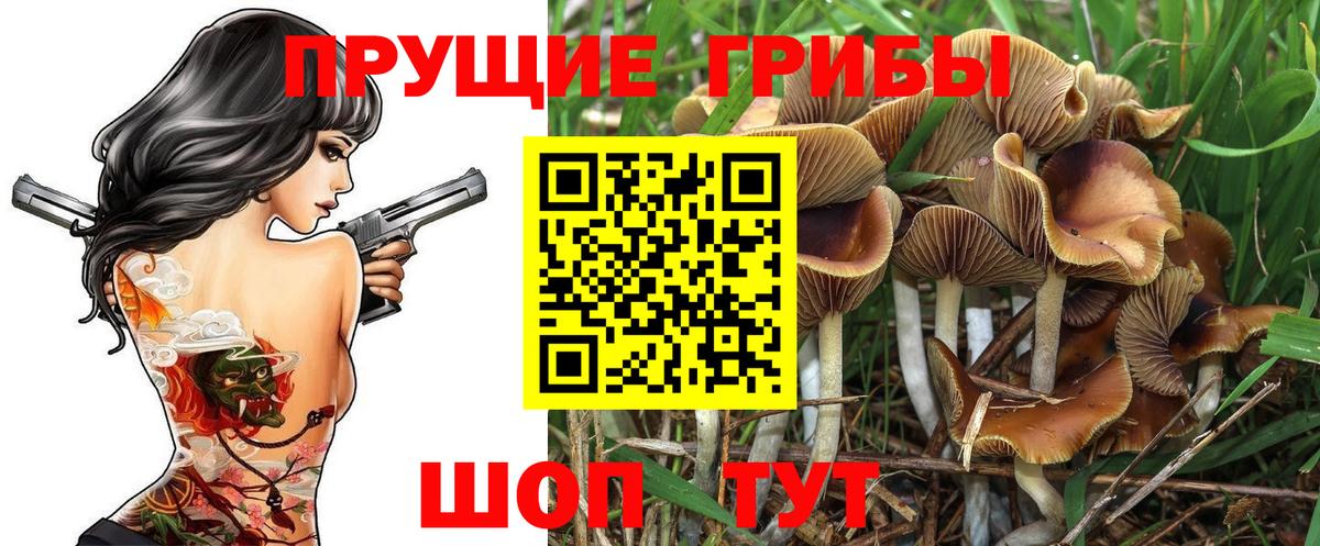 Галлюциногенные грибы Psilocybine cubensis  Вход с VPN  Кыштым  Галлюциногенные грибы прущие грибы 